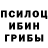 Псилоцибиновые грибы Magic Shrooms Chi_da Diki