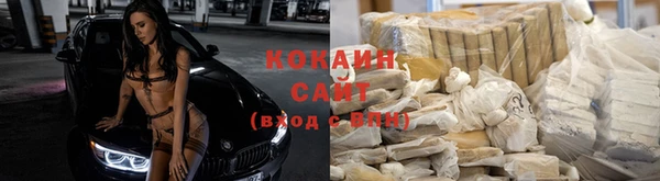 каннабис Аркадак