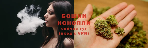 ПСИЛОЦИБИНОВЫЕ ГРИБЫ Армянск